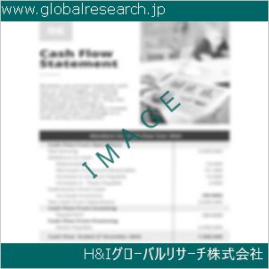 グローバルリサーチ調査資料のイメージ